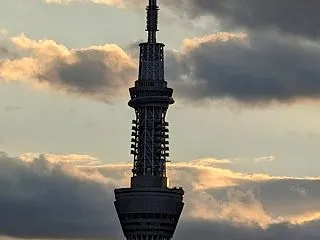 本日のスカイツリー