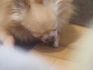 気持ち悪いんかなぁ？