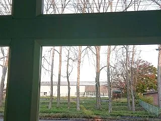 今日の日替わりベーグルは（２２日