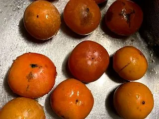 いただいた「渋抜き柿」が食べきれなかった…