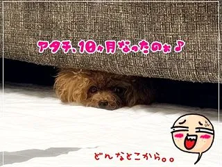 リオ☆10ヶ月ッ(*´▽｀*)