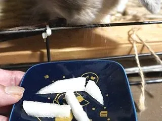 思い出 フルーツの好み⑤