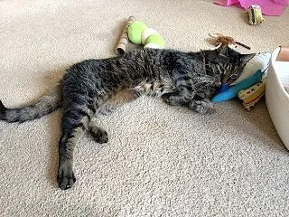 良い香りに枕で良い眠り