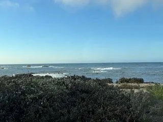 カリフォルニアのモントレーへ行ってきた