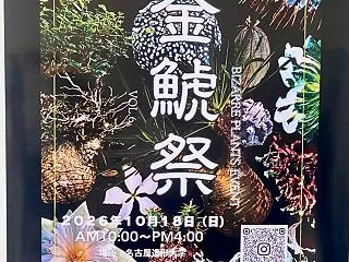 2026金鯱祭♪行ってきました……ｼﾀﾀ…