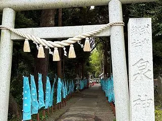【茨城 泉神社】マツコの知らない世界で佐…