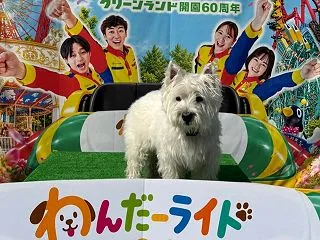 こうちゃんと遊園地* グリーンランド