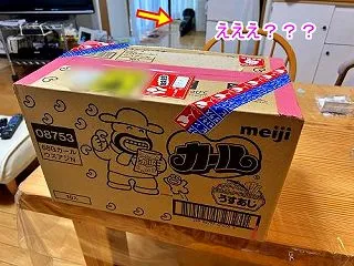 びっくり仰天！