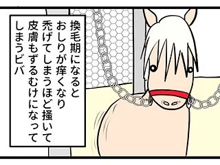 辛い時のビバ