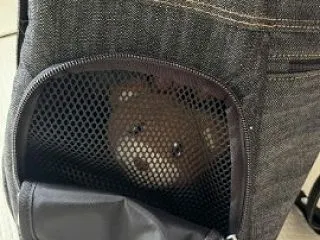 キャリーバッグのネット部分