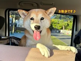 カワイイお嬢様ぁ～♪