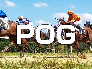 【POG】サートゥルナーリア産駒で母クロ…