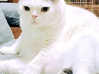 おかまバーはお釜を持ち込んで自炊するって…