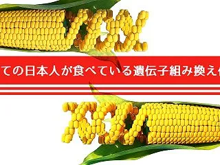 【 遺伝子組み換え作物 の利用法 】日本…