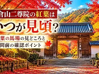 小倉山二尊院の紅葉はいつが見頃？紅葉の馬…