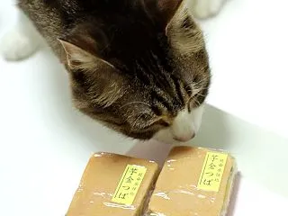 秋の菓子と猫。