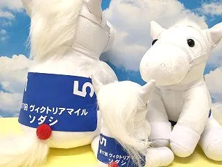 菊花賞
