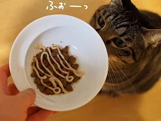 その後のマヨビーム。