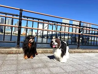 ワンオペ