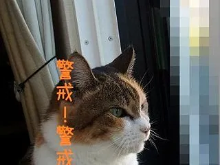 ご立腹ｗｗ
