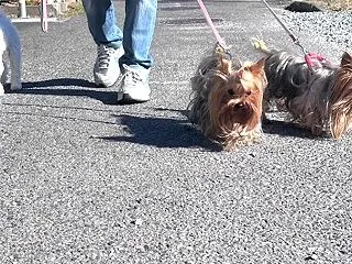 問題は距離じゃなくて景色♪