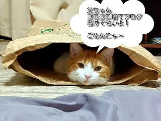 ブログも休みます。