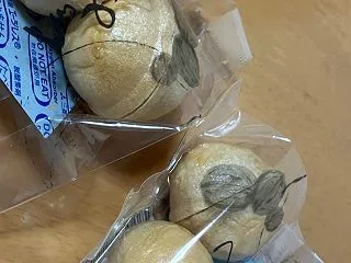 軽井沢５０ うずらコーヒー で くるみる…
