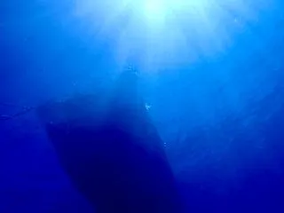 着後ダイブ！2本目