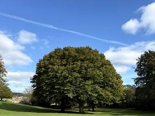 ◎ホリ散歩〜公園編〜◎