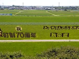 八郎潟町・田んぼアート