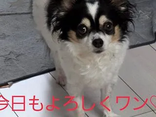 心の痛みは…体にも出るんだよね…