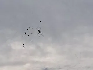 答えを探してもわからない時に