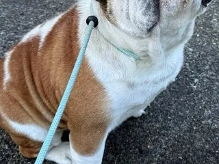 晴れた朝