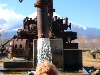 お水被ってる風なFranさんでおはよ&a…