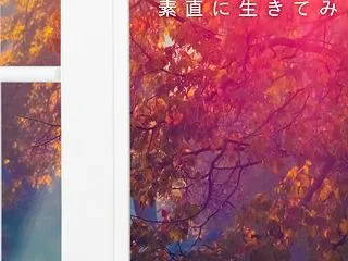 調整期間