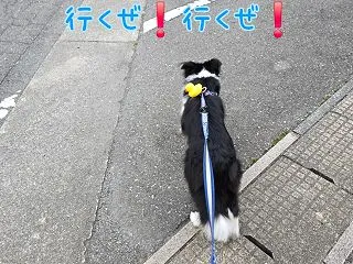 一緒に過ごしたいんだよ