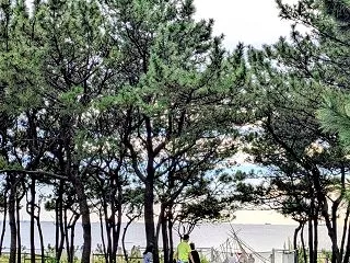 秋晴れの美浜区民フェスティバル