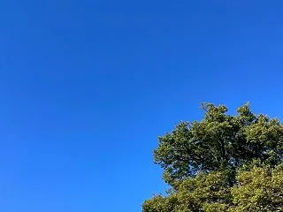 娘 中学最後の体育祭