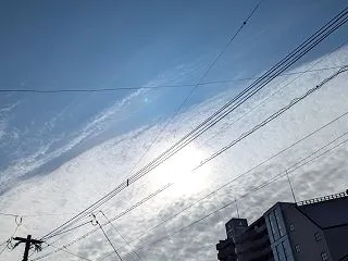 －５℃ １２９４６回目のブログ更新