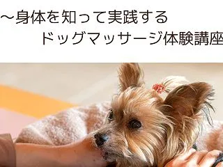 【新★Zoom体験会】愛犬の身体を知って…
