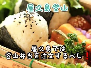 【初めての縄文杉】登山弁当の予約で失敗し…