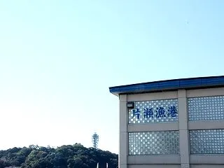おしゃれな朝市 (江の島)