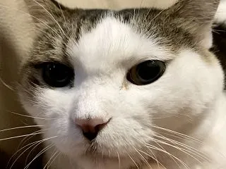 夢への軌跡_積極的に経口摂取を