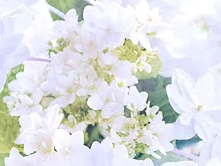 久しぶりにAI加工品をUPするね