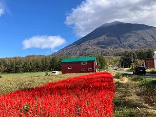 初秋の奥羊蹄山