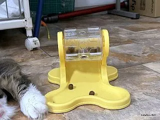 教育されたのは・・・・・大家族通信♪