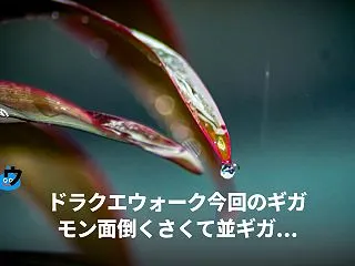 【DQW最新ニュース(10月22日)】 …