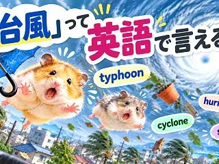「台風」って英語で言える？typhoon…