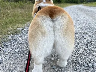 暑かったです
