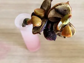 普段使いがいいね